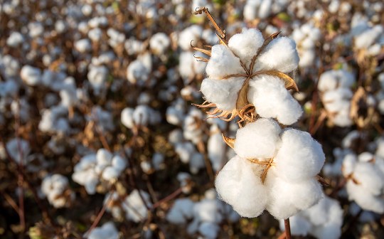 concept-naturhaus-bettwaesche-materialien