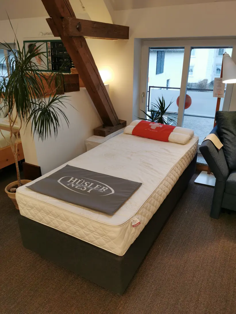 Komfortables Boxspringbett im modernen Schlafzimmer mit natürlicher Einrichtung