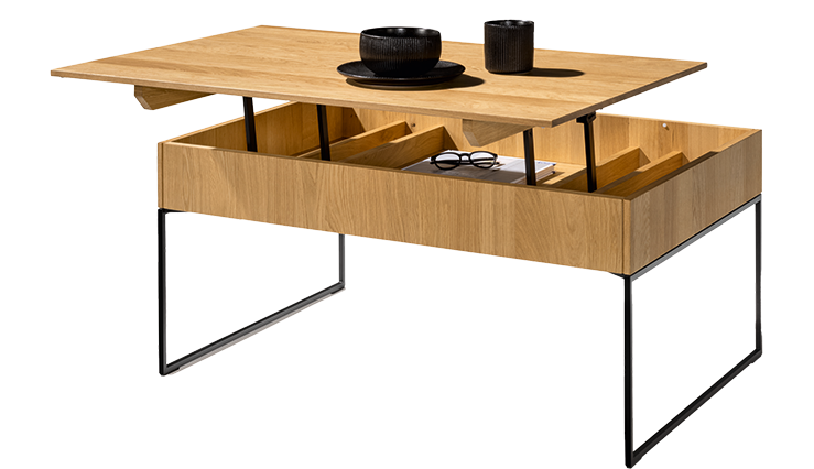 concept-naturhaus-wohnzimmer-couchtisch-bild