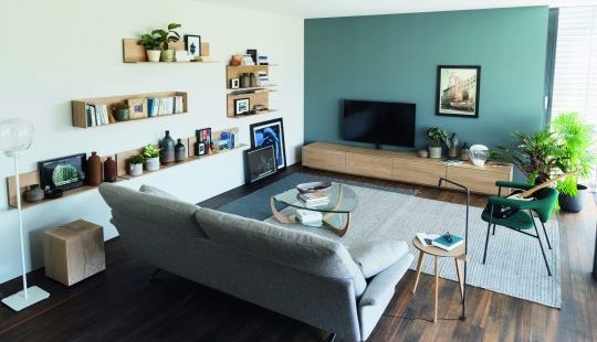 Modernes Wohnzimmer mit grünem Akzentwand, Ledersofa, Bildern und Zimmerpflanzen.