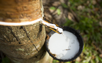 concept-naturhaus-bettwaesche-materialien
